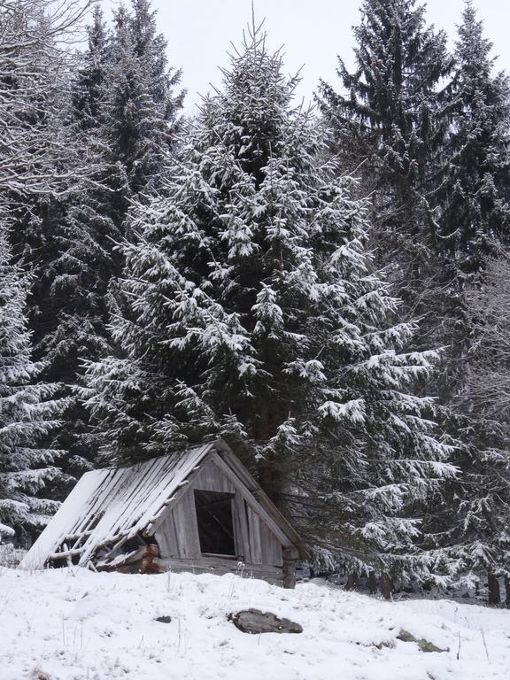 Rojerhof Villa Шладминг Екстериор снимка