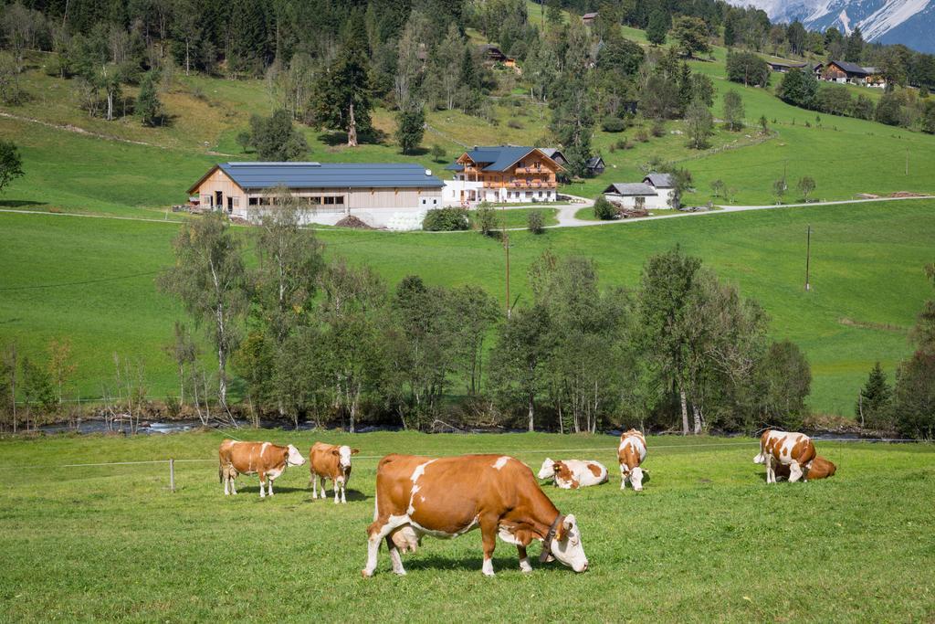 Rojerhof Villa Шладминг Екстериор снимка